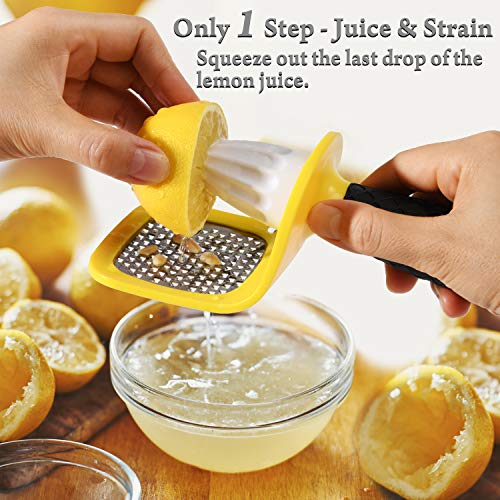 Citrus Tools Set 3 Pieces, Citrus Lemon Juicer & Zester Grater Handheld