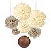 SUNBEAUTY Pack of 7 Cream Tan Color Tissue Paper Pom Poms Brown Paper Lanterns Party Wedding Birthday Decorations