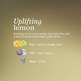 Miniml Eco White Vinegar Cleaning Sorrento Lemon Scent 5L view 5