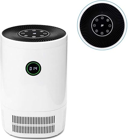 Luftreiniger Ionisator Mit Hepa Filter Zu Formaldehyd Geruch Und Rauch Staub Verwendet Im Wohnzimmer Konferenzraum Haustier Raumluftfilter Zu Entfernen Amazon De Kuche Haushalt