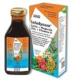 Floradix Saludynam Liquid - 250ml