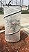 Green Valley Supply Pop-up Plant Cover, Protector, Tomato Accelerator (18