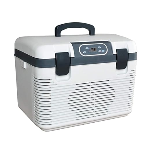 L.L.QYL Mini Nevera Refrigerador electrónico for automóvil de ...