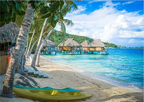 Full Drill 5D DIY Diamond Painting " Beach" 3D Embroidery set Cross Stitch Mosaic Decor gift for Home Wall Decor … (coconut palm)