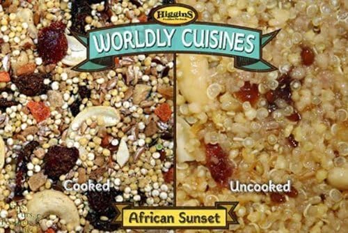Bird Supplies Wordly Cuisines African Sunset by HIGGINS PET FOOD