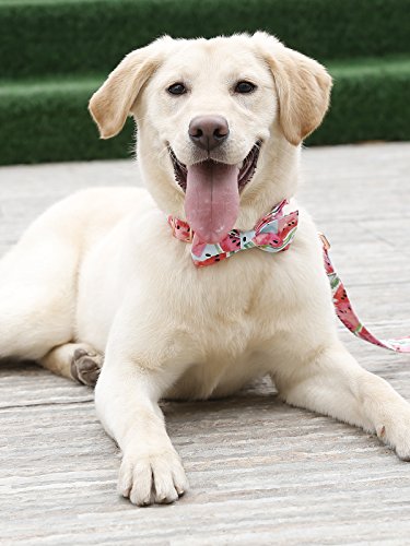 image for USP Dog Leashes Training Strong Pure Cotton Dog Leashes Summer Vitalit