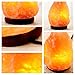 Himalayan Natural Salt Lamp Hand Carved Crystal Rock Lamp with Genuine Neem Wood Base includes 15 Watt Blub and Rotary Dimmer Switch, Amber Night Light by Hippih (7-9 Inch,4.4-6.6 lbs)