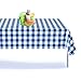 Grandipity 12 Pack Premium Disposable Plastic Picnic Tablecloth 54 Inch. x 108 Inch. Decorative Rectangle Table Cover - Blue Checkered Gingham