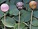 Set of 3 Ball Lamps, Solar 3.5