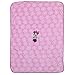 Disney Minnie Mouse Super Soft Coral Fleece Baby Blanket, Pink/Aqua