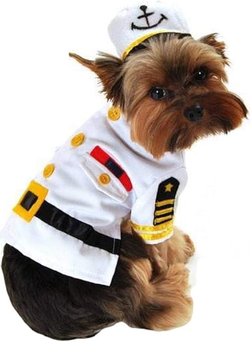 dog sailor outfit