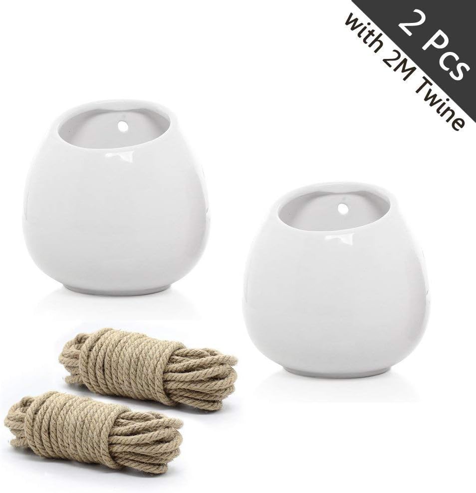 Longess Succulent Planter, Tiny White Ceramic Small Tooth Cactus Plant Pot with Bamboo Tray Decorative Miniature Unique Flower Potting Container (Wall Hanging-2pcs)