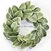 Silvercloud Trading Co. [New] All Leaf Magnolia Wreath - 20
