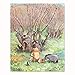 Classic Winnie the Pooh Art Prints (Baby Nursery Wall Decor) 8x10 Unframed, Set of 4