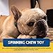 Bullibone Nylon Dog Chew Toy Spin-a-Bone - Interactive Dog Toy, Triggers Natural Instincts, and Improves Oral Health