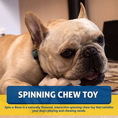 Nylon Dog Chew Toy - Bullibone Spin-a-Bone- Bacon Flavor - Interactive Dog Toy, Triggers Natural Instincts, and Improves Oral Health