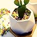 HomeNote 2.75inch Succulent Planter Pots Set Flower Cactus Ceramic Holder Unique Color Glaze White Container Kit with Bamboo Tray for Home Decor（Pack of 6)