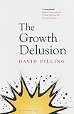 David Pilling, "The Growth Delusion: Wealth, Poverty, and the Well-Being of Nations" (Bloomsbury, 2018)