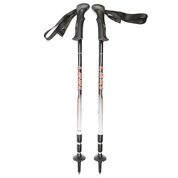 leki trail stick