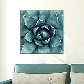 Square Canvas Wall Art - Close up of Succulent Plant - Giclee Print Gallery Wrap Modern Home Art Ready to Hang - 12x12 inches