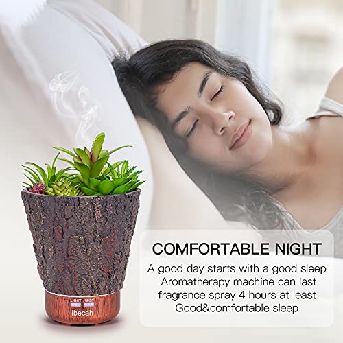 Ibecah Essential Oil Diffuser, Artificial Succulent Plants Potted