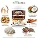 Naturealm Mushroom Coffee Creamer - Lion's Mane, Cordyceps, Maitake Extracts + Coconut Milk Powder, Cocoa, Cinnamon - USDA Certified Organic, Vegan, Sugar-Free, Gluten-Free, Keto-Friendly, 8oz.
