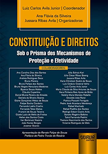 Logomarca do site Literatura Jurídica