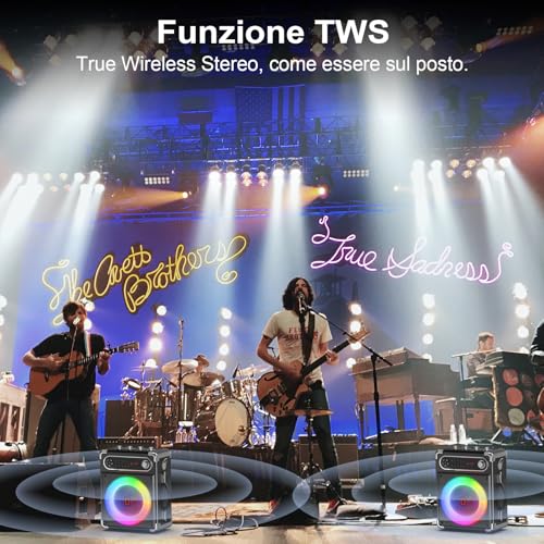 JYX Karaoke with 2 Microphone, 6.5 Inch Portable System, 80 W Bluetooth 5.3 Speaker, Treble/Bass Controls and LED Light, TWS Compatible, USB/TF/FM Radio, Recording Function, Black
