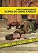 Scènes de crime à Orsay : Une enquête criminartistique by 