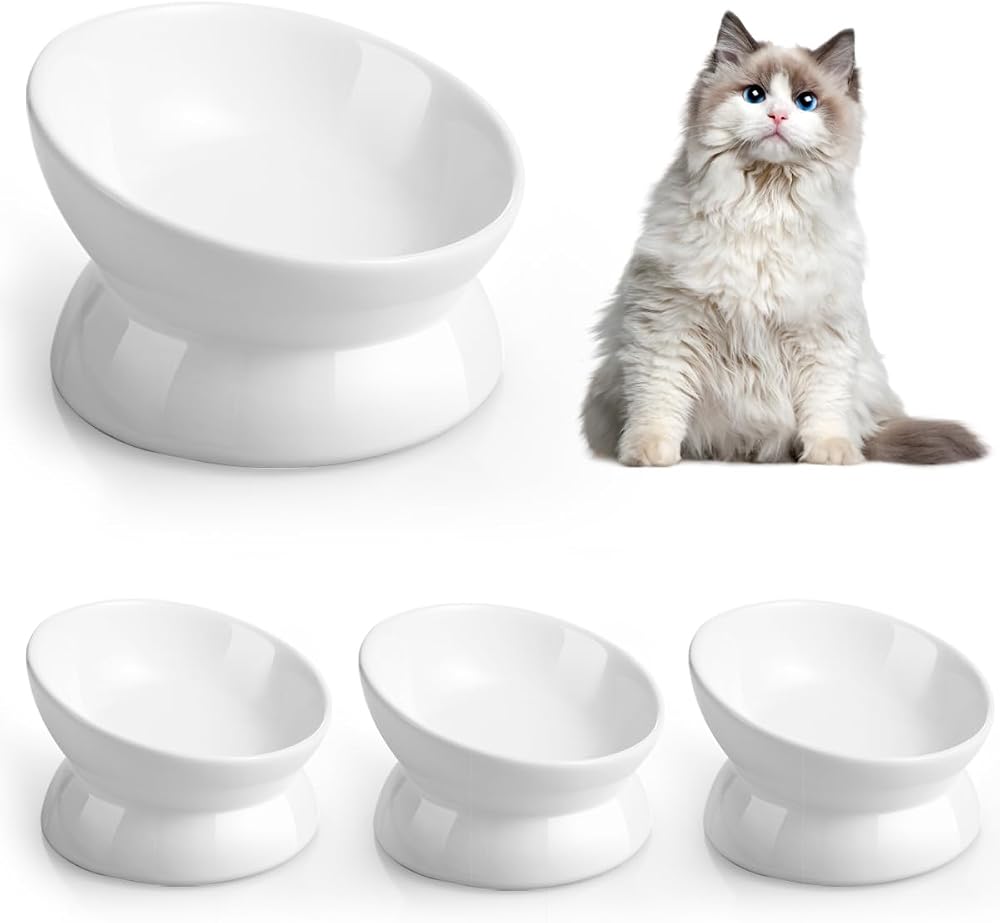 LoeJan Elevated Cat Food Bowl 5 Oz Ceramic Raised Tilted Pet Water Bowl White 4
