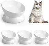 LoeJan Elevated Cat Food Bowl 5 Oz Ceramic Raised Tilted Pet Water Bowl White 4