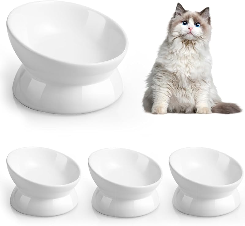 LoeJan Elevated Cat Food Bowl 5 Oz Ceramic Raised Tilted Pet Water Bowl White 4