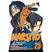 Naruto, Vol. 25: Brothers (Naruto Graphic Novel) book cover