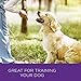 Wellness WellBars Natural Grain Free Crunchy Dog Treat Biscuits, Peanuts & Honey, 45 -Ounce Box