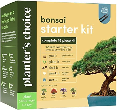 Bonsai Starter Kit