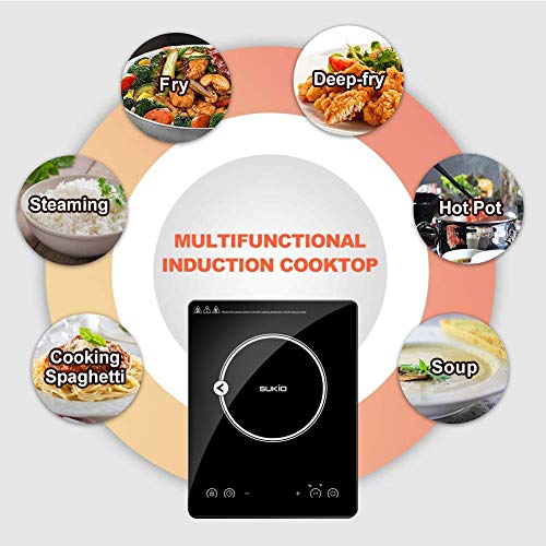 Portable Induction Cooktop induction stove Countertop Burner, 1800W 120