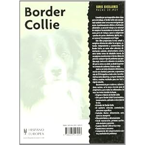 Border Collie (Excellence) (Spanish Edition)