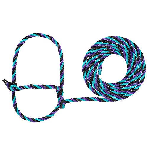 Weaver Livestock Braided Poly Rope Cattle Halter, Adjustable, Modern Style Cow…