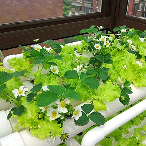 4YANG 3 capas 108 sitios de plantas Kit de cultivo de sitio ...