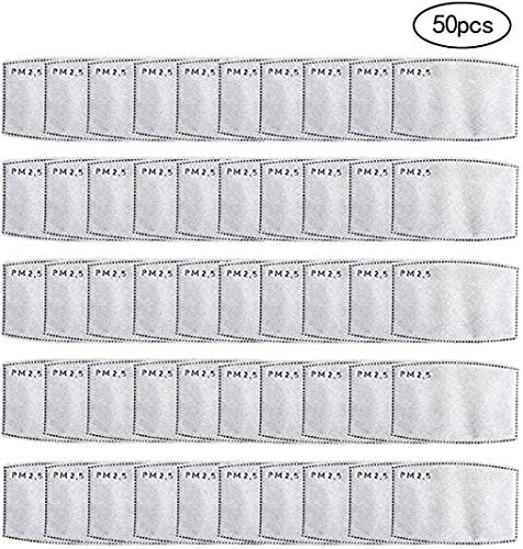 Chakrava PM2.5 Filter and Mask Combo, Washable, Reusable Cloth Masks Protects from Dust, Pollen, Pet Dander, Other Airborne Irritants (10 Pack + 2 Masks)