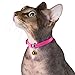 CollarDirect Leather Cat Collar, Cat Safety Collar with Elastic Strap, Kitten Collar with Bell Black Blue Red Orange Lime Green (8-11 Inch, Yellow)