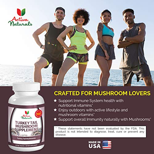 Turkey Tail Mushroom Supplement 120 Veg. Capsules with Coriolus