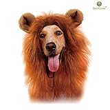 SunGrow Lion Mane Costume with Ears for Big Dogs & Cats: Get your pet dressed up