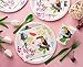 Tropical Party Supplies – Serves 24 – Includes Plates, Knives, Spoons, Forks, Cups and Napkins. Perfect Party Pack for Birthday Parties and Bridal Showers, Bird Pattern