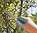 Joseph Bentley Traditional Garden Tools Carbon Steel Pruning Knife - Great For Roses, Shrubs, and More - Solid Oak Handle - Long Lasting Durability