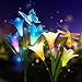 Solar Lights Outdoor, New Version Solar Garden Lights with Lily Flowers, Butterfly & Hummingbird Decorative Lights, Waterproof Multi-Color Changing LED Garden Lights for Yard, Patio (Blue and White)