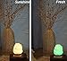 ESOW USB Salt Lamp Mini with Wooden Base Multi Color Changing Small Air Purifier about 5 Inches 1.5 lbs No Installation Required Great Decor For Office Home Hotel Yoga, Relieves Anxiety and Relaxing
