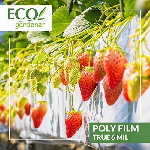 Black and White Poly Film - 10' x 50' 6mil, 4 Year UV Treated, Heavy Duty Polyethylene Sheeting by ECOgardener