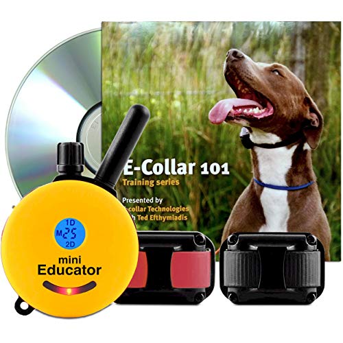Educator ET-302-TV Bundle: Two Dog Mini 1/2 Mile E-Collar Remote Dog Training Collar Plus 101 Off-Leash 4 Sessions Dog Training DVD