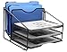 EasyPAG Mesh Desk File Organizer Sorter with 3 Horizontal and 2 Upright Black
